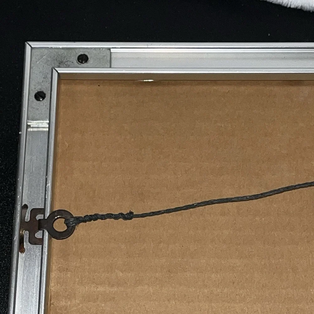 Pittsburgh Steelers Cincinnati Bengals Flushed From The Pocket Picture Frame